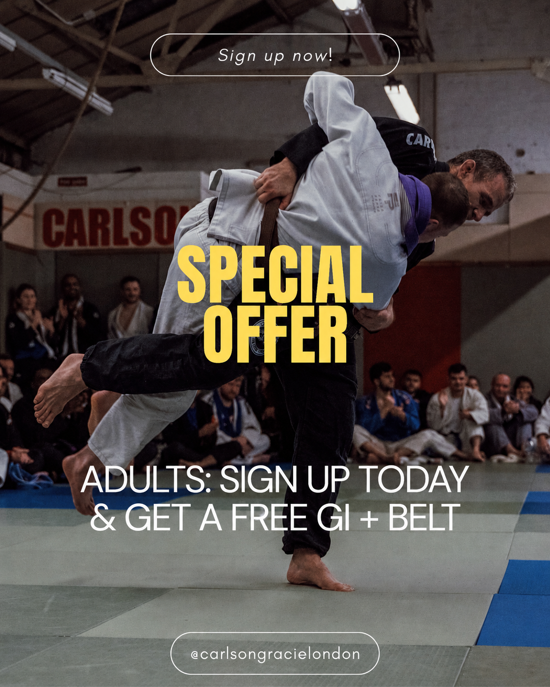 Christmas Special Offer
